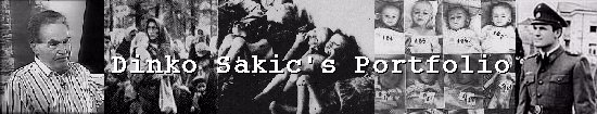 Dinko Sakic's Portfolio
