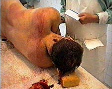 21.jpg (21083 bytes)