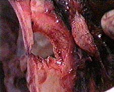 26.jpg (21902 bytes)