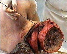 28.jpg (22995 bytes)