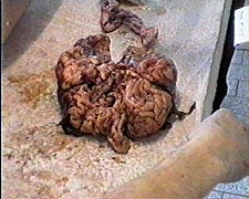 29.jpg (23606 bytes)